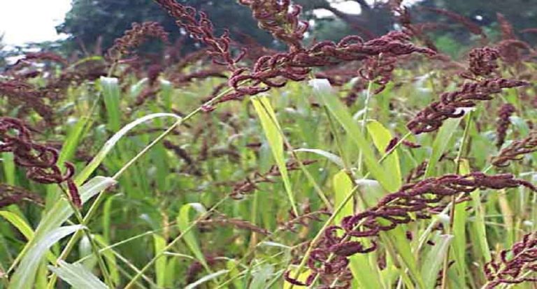 WhatsApp Image 2022 12 26 at 9.06.54 PM