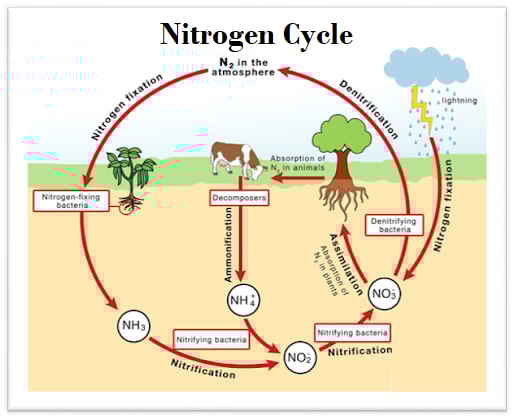 WhatsApp Image 2023 01 05 at 11.55.56 AM