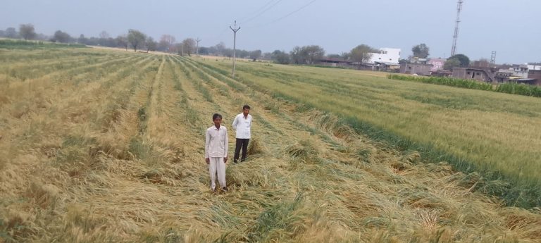 खेतों के सर्वे में अफसरों के साथ पंच भी रहेंगे मौजूद, होगी वीडियोग्राफी
