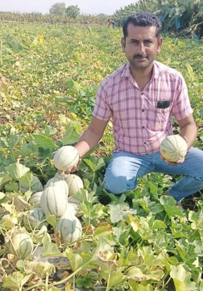 पारम्परिक उपज छोड़, उद्यानिकी फसलों से युवा कृषक ले रहा मुनाफा