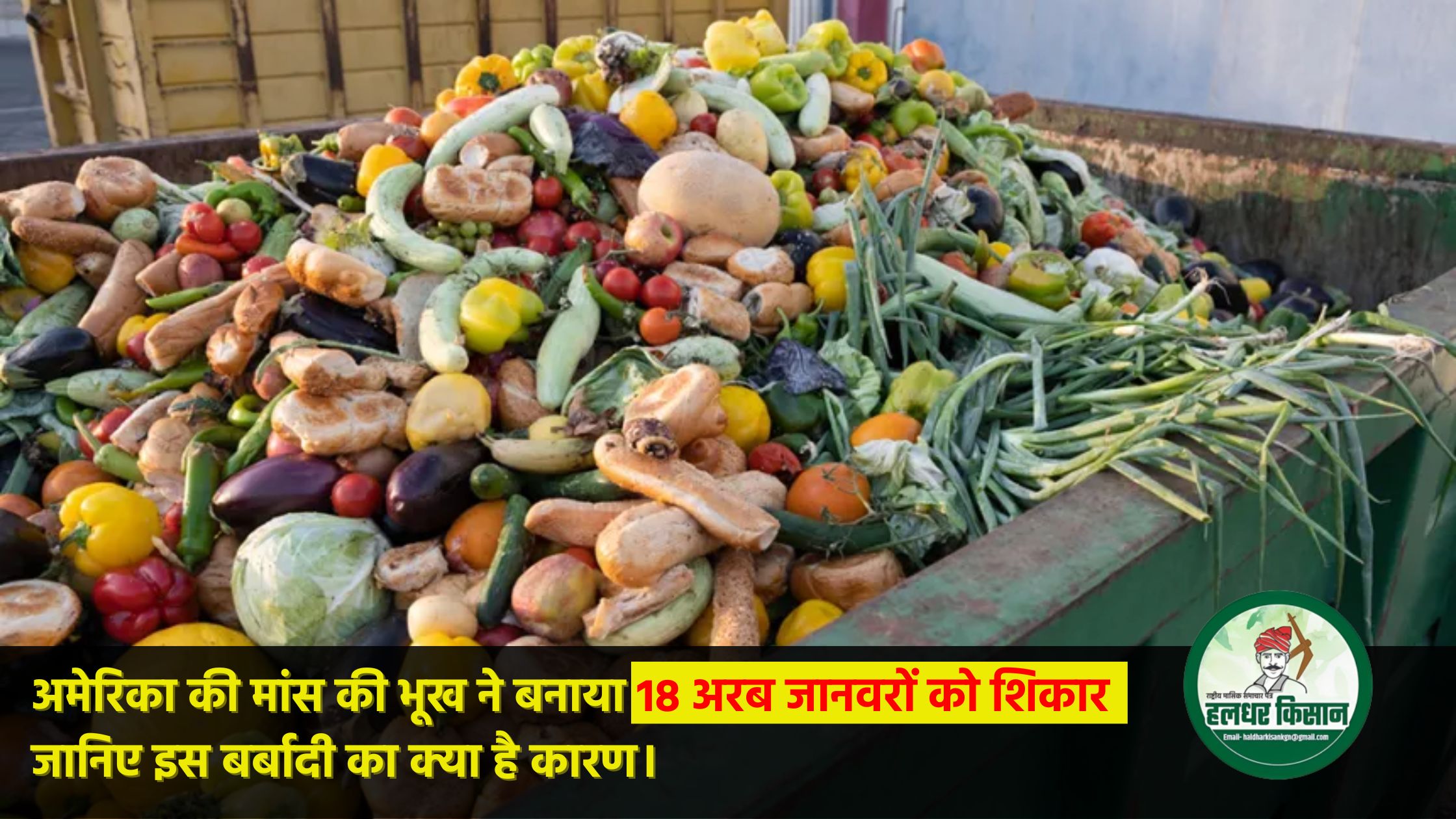 अमेरिका की मांस की भूख ने बनाया 18 अरब जानवरों को शिकार, जानिए इस बर्बादी का क्या है कारण।