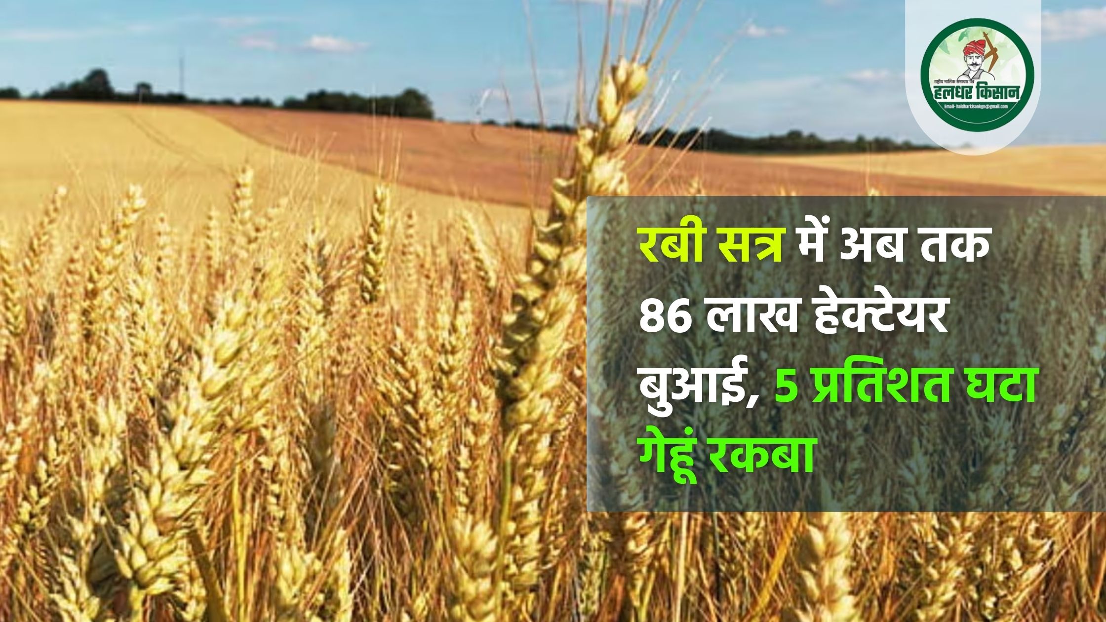 रबी सत्र में अब तक 86 लाख हेक्टेयर बुआई, 5 प्रतिशत घटा गेहूं रकबा