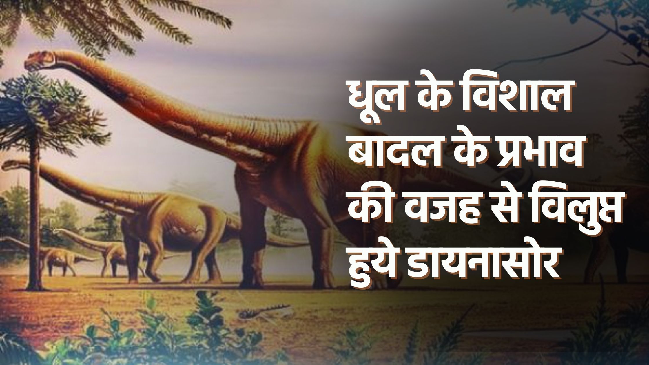 हलधर किसान 24