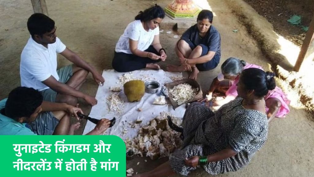 युनाइटेड किंगडम और नीदरलेंउ में होती है मांग