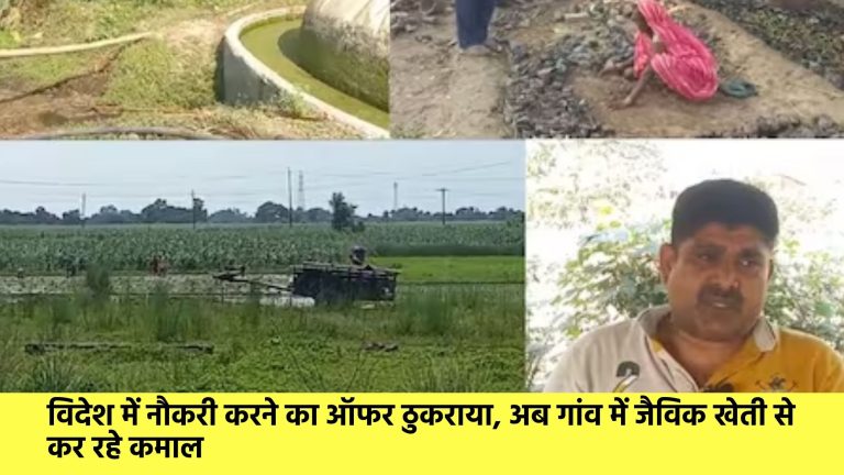 विदेश में नौकरी करने का ऑफर ठुकराया, अब गांव में जैविक खेती से कर रहे कमाल