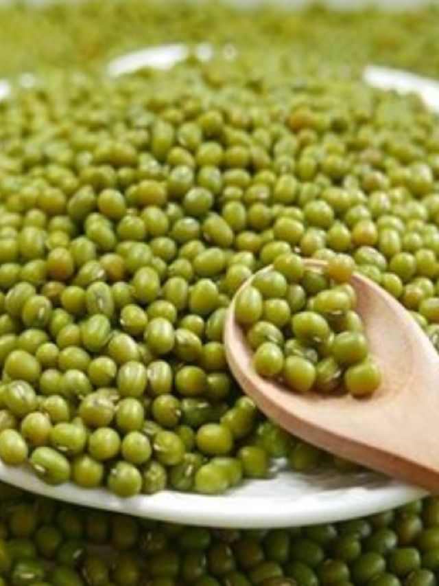 Web Story Haldhar Kisan (1)