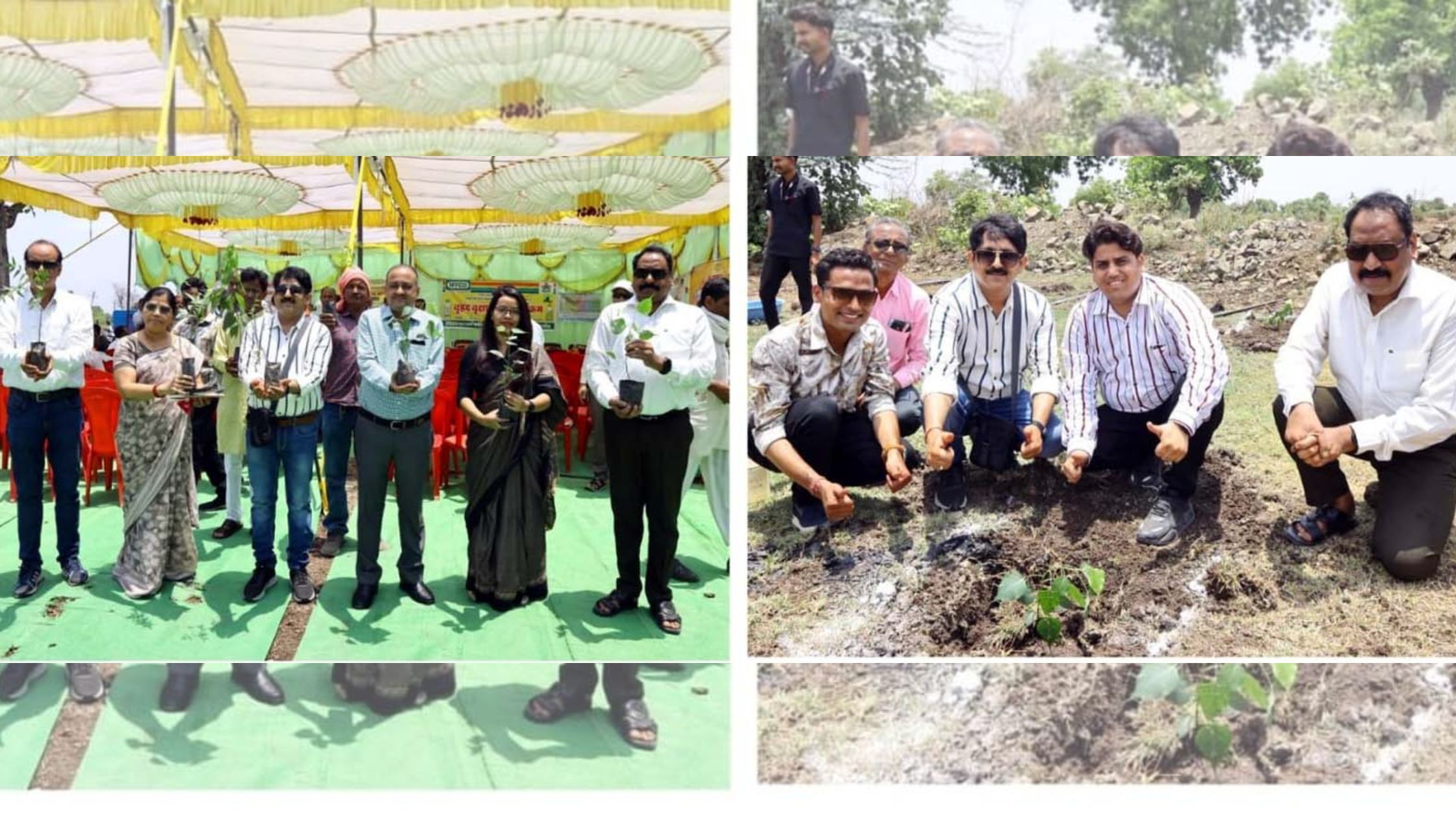 सीसीबी ने रोपे एक हजार पौधे, कर्मचारियों ने 5- 5 पौणे संरक्षण की ली शपथ