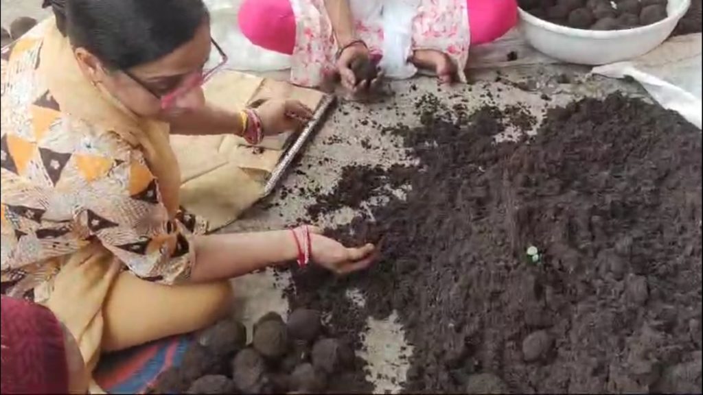 सीडबॉल से संवरेगी प्रकृति