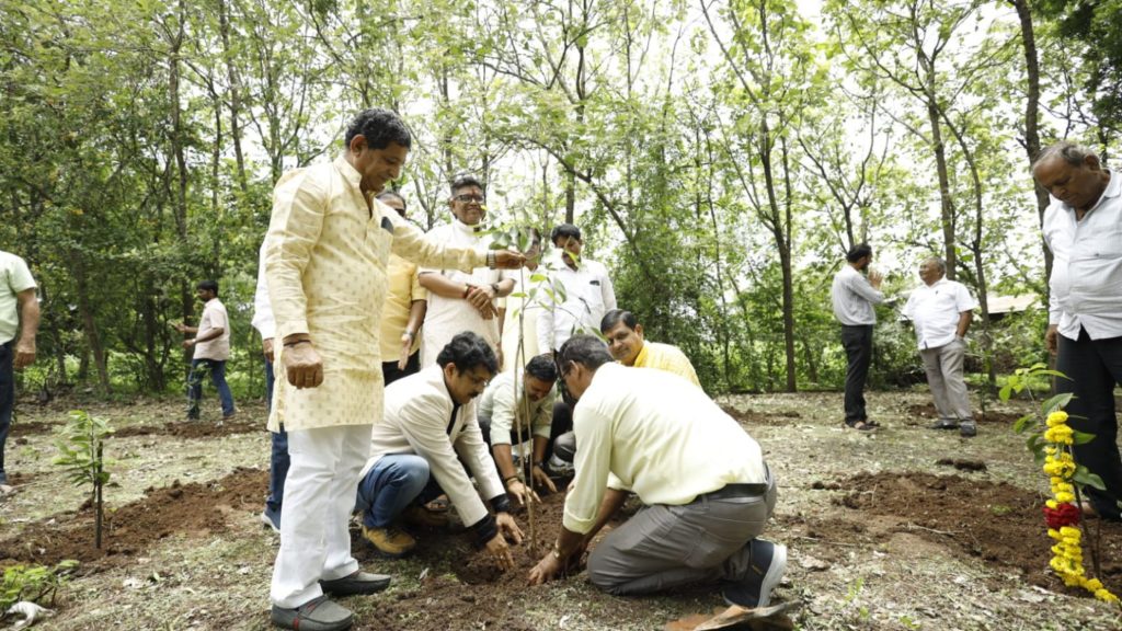 वृक्षारोपण