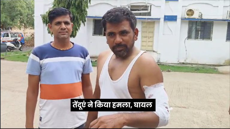 खेत में काम कर रहे किसान पर तेंदूएं ने किया हमला, घायल 