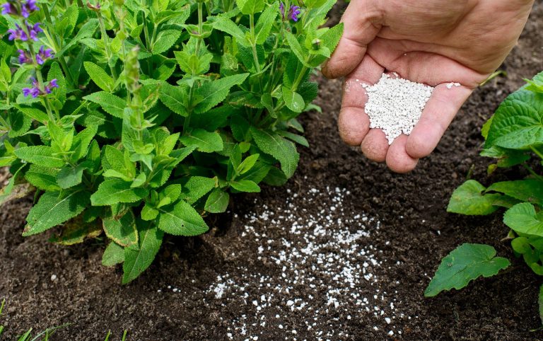 Fertilizing-plants