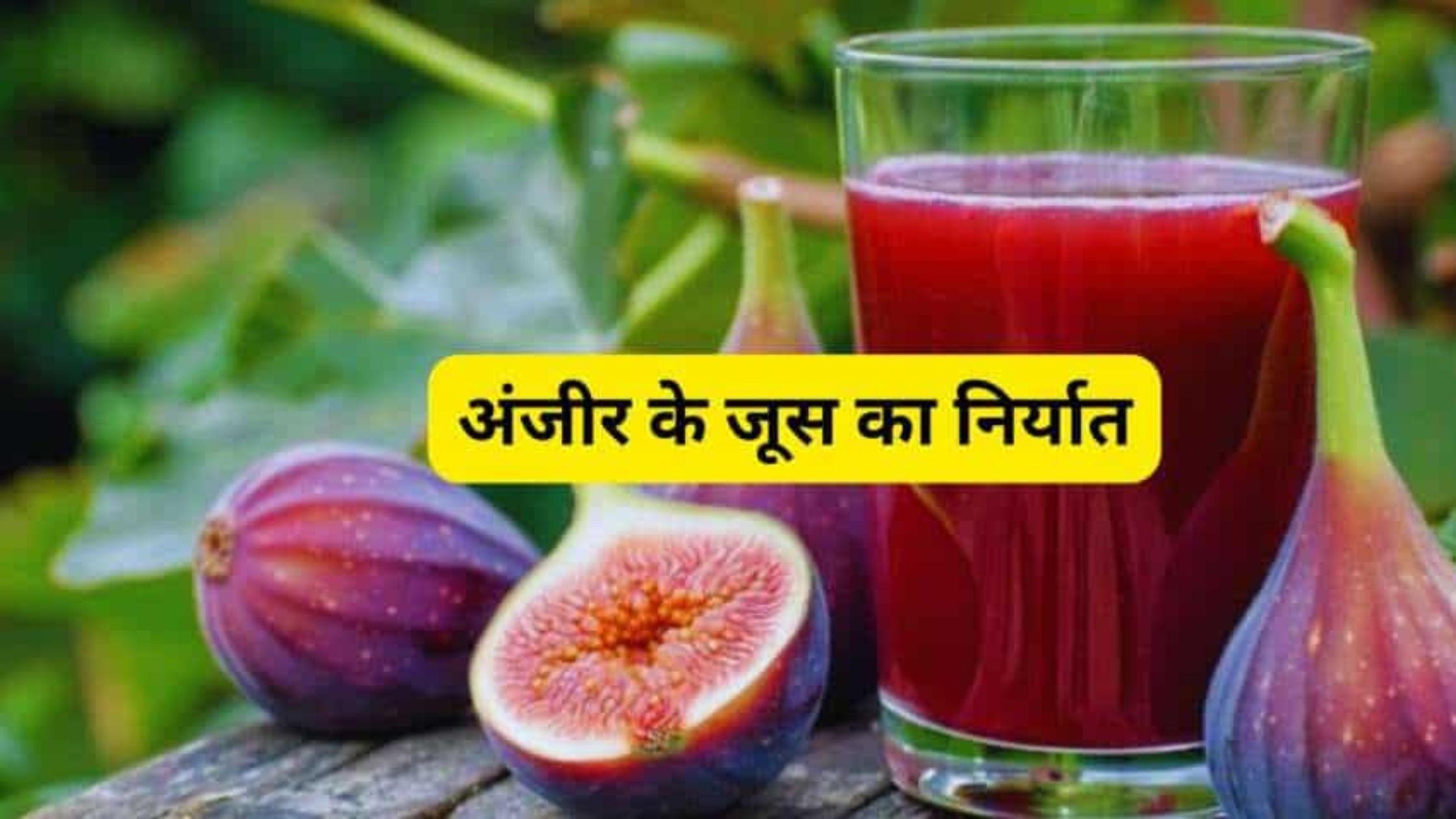 GI Tag वाला अंजीर का जूस
