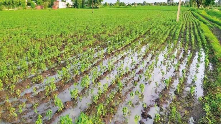 क्या इस बार आफत की बारिश साबित होगी