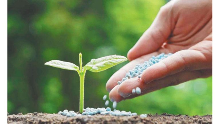 31 मार्च 2025 तक सब्सिडी दरों पर मिलेगी फॉस्फेटिक और पोटैसिक , केबिनेट ने दी मंजूरी