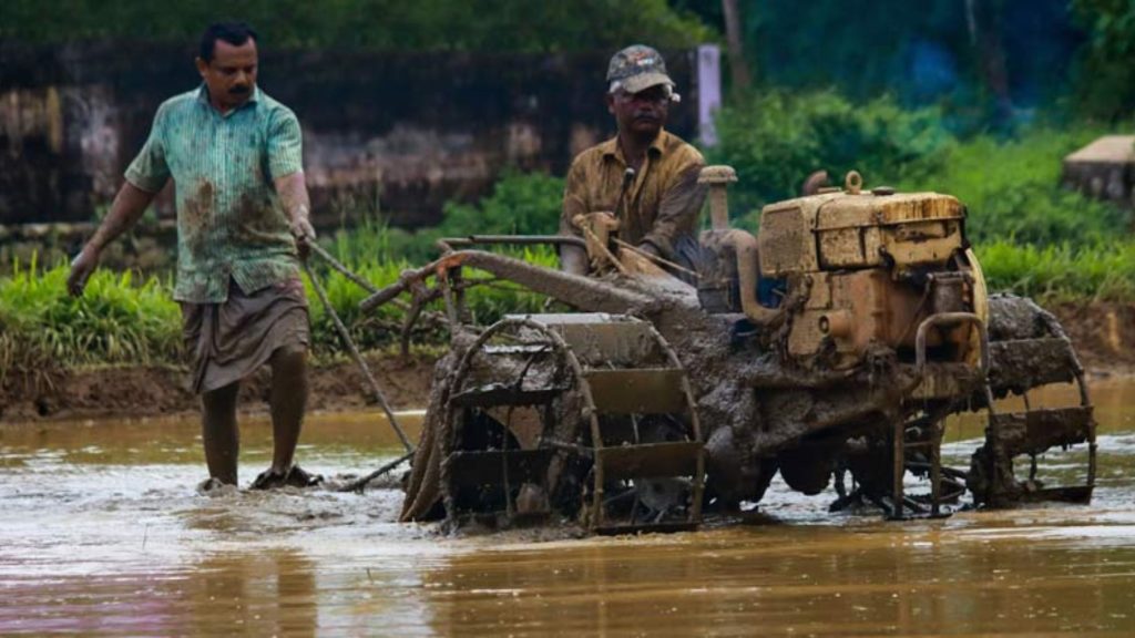 छत्तीसगढ़ में 9 सितंबर से शुरू होगा डिजिटल फसल सर्वेक्षण 1