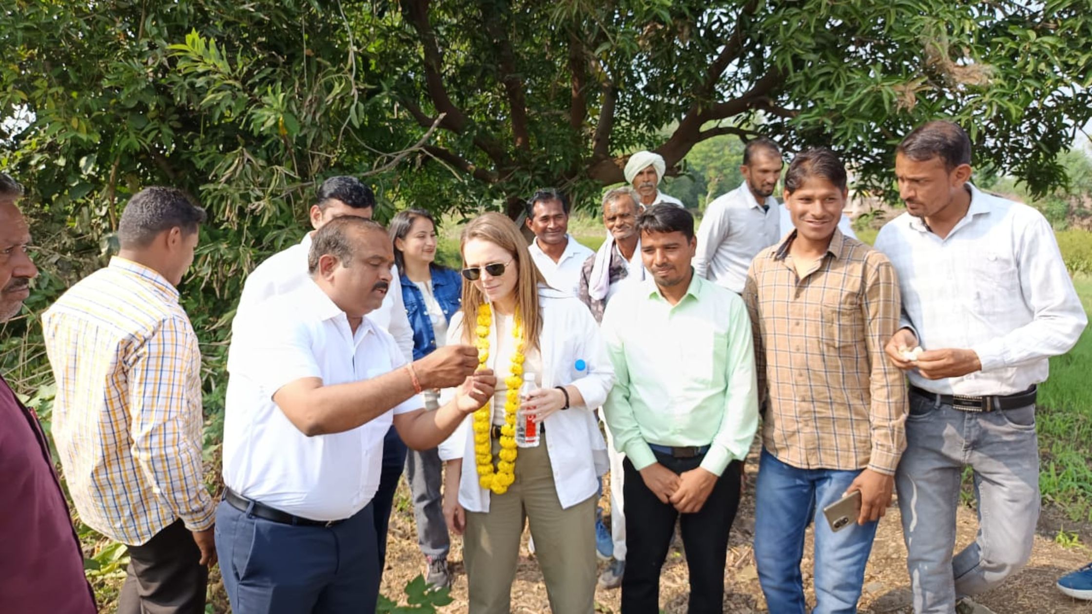 निमाड़ के सफेद सोने की विदेश में धमक बरकरार