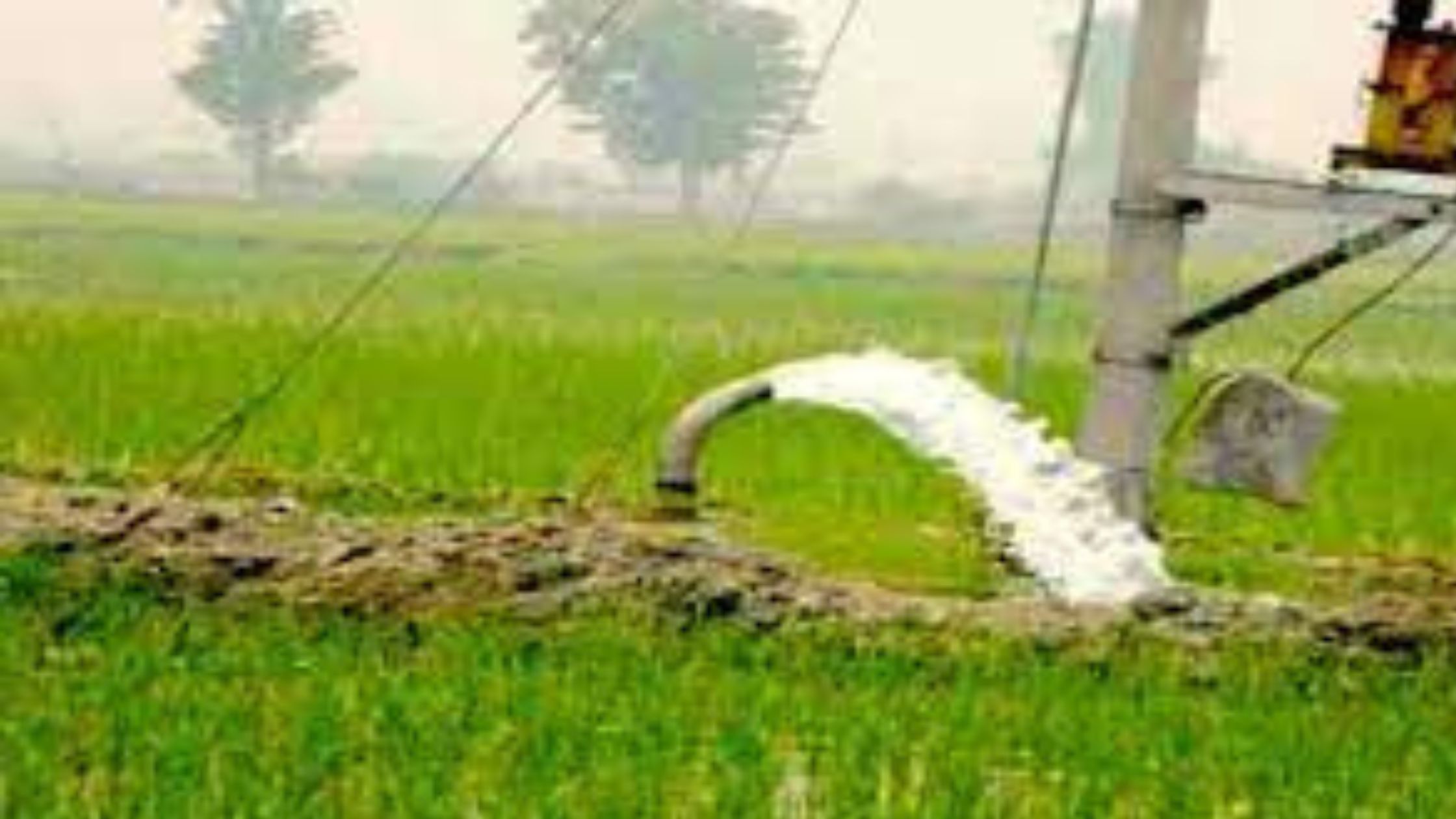 5 रुपये में ग्रामीण कृषि पंप उपभोक्ताओं को मिलेंगे नवीन विद्युत कनेक्शन