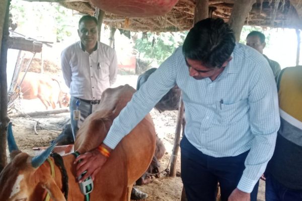 खरगोन में पशुधन विकास की नई पहल
