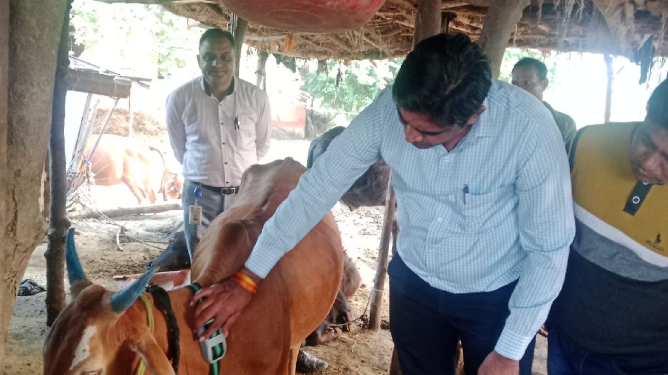 खरगोन में पशुधन विकास की नई पहल