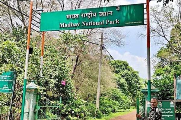 माधव नेशनल पार्क टाइगर रिजर्व घोषित