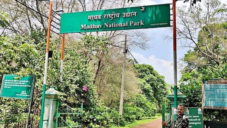 माधव नेशनल पार्क टाइगर रिजर्व घोषित