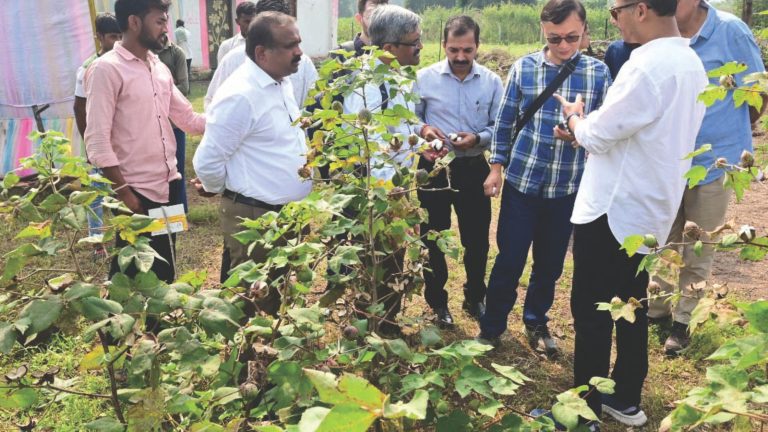 आर्थिक सर्वेक्षण: कृषि आय में 5.23% बढ़ोतरी का दावा, सरकार ने उत्पादन बढ़ाने पर दिया जोर 