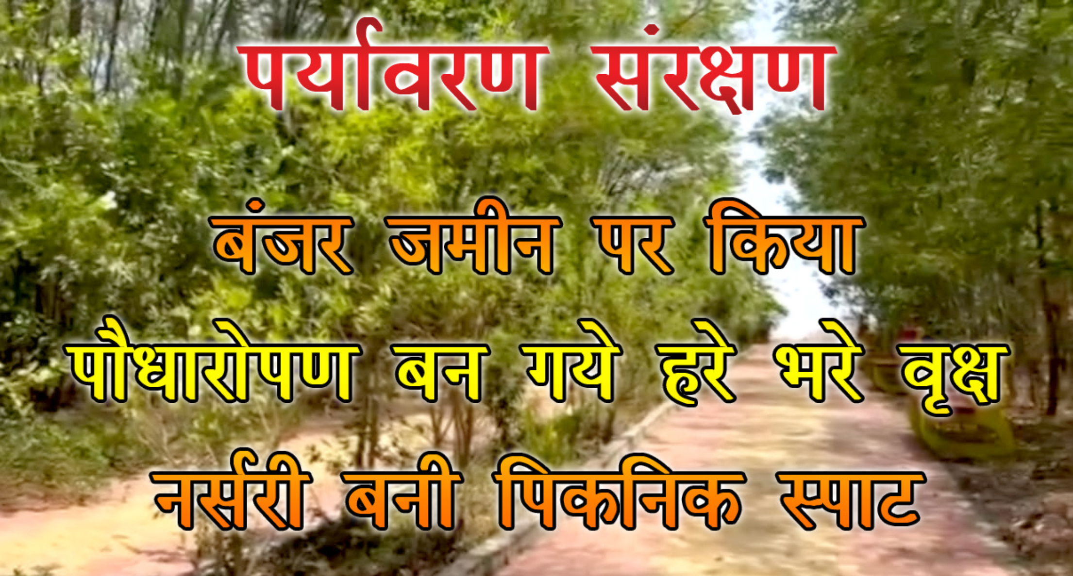 Unique initiative of Panchayat Plantation done in barren land trees and plants flourishing became a picnic e1746015443442