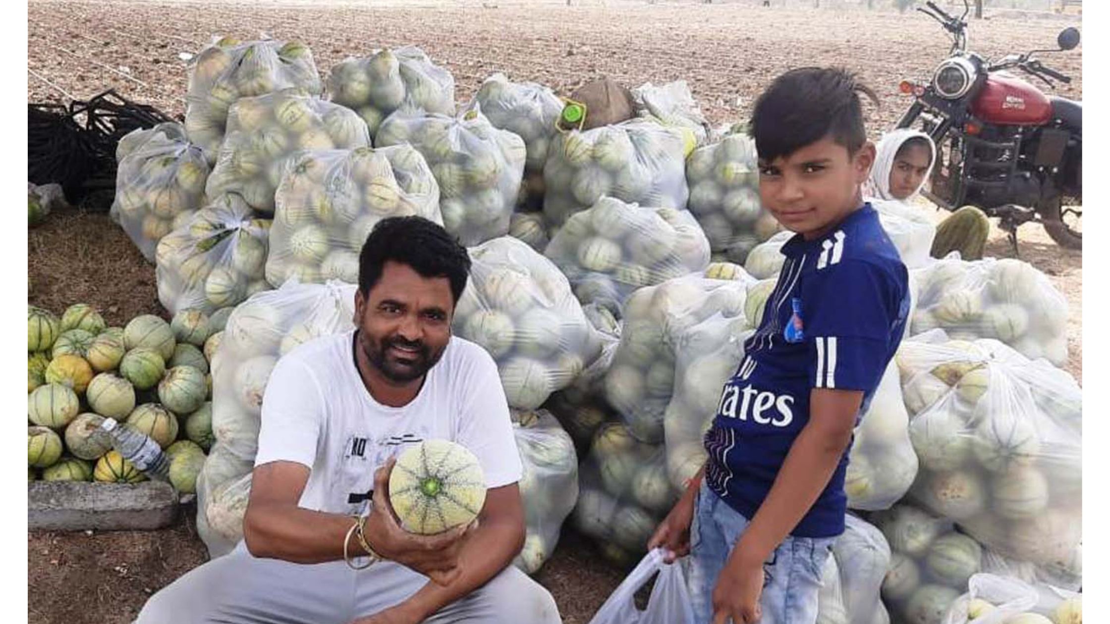 Melon crop changed the farmers variety earning lakhs of profit annually