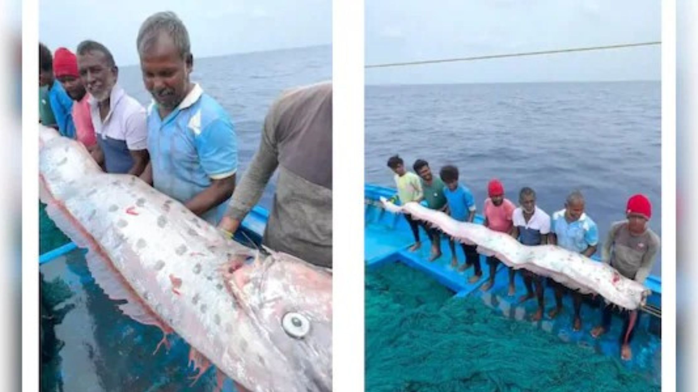 Does this mysterious fish indicate destruction It has been seen in the country