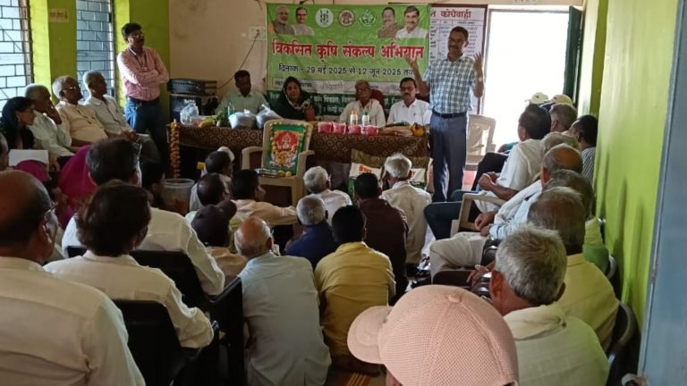 धान की खेती में नया अध्याय: ‘डीएसआर विधि’ बनी किसानों की पहली पसंद