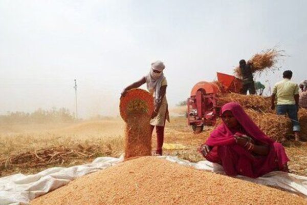 Niti Aayog recommends promoting the import of American agricultural products farmer organizations objected