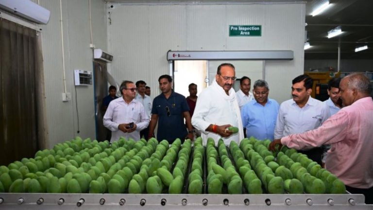 UPs Dussehri mango exported to Dubai got a rate of Rs 211 per kg
