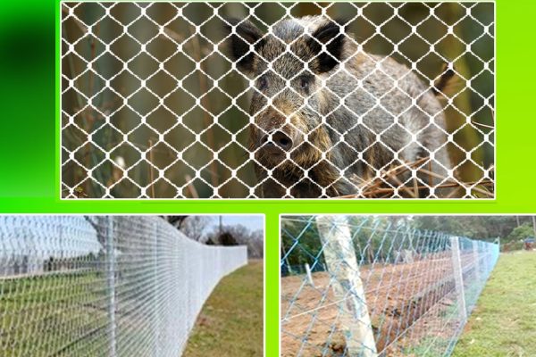 MP farmers will get subsidy for installing nets in their fields