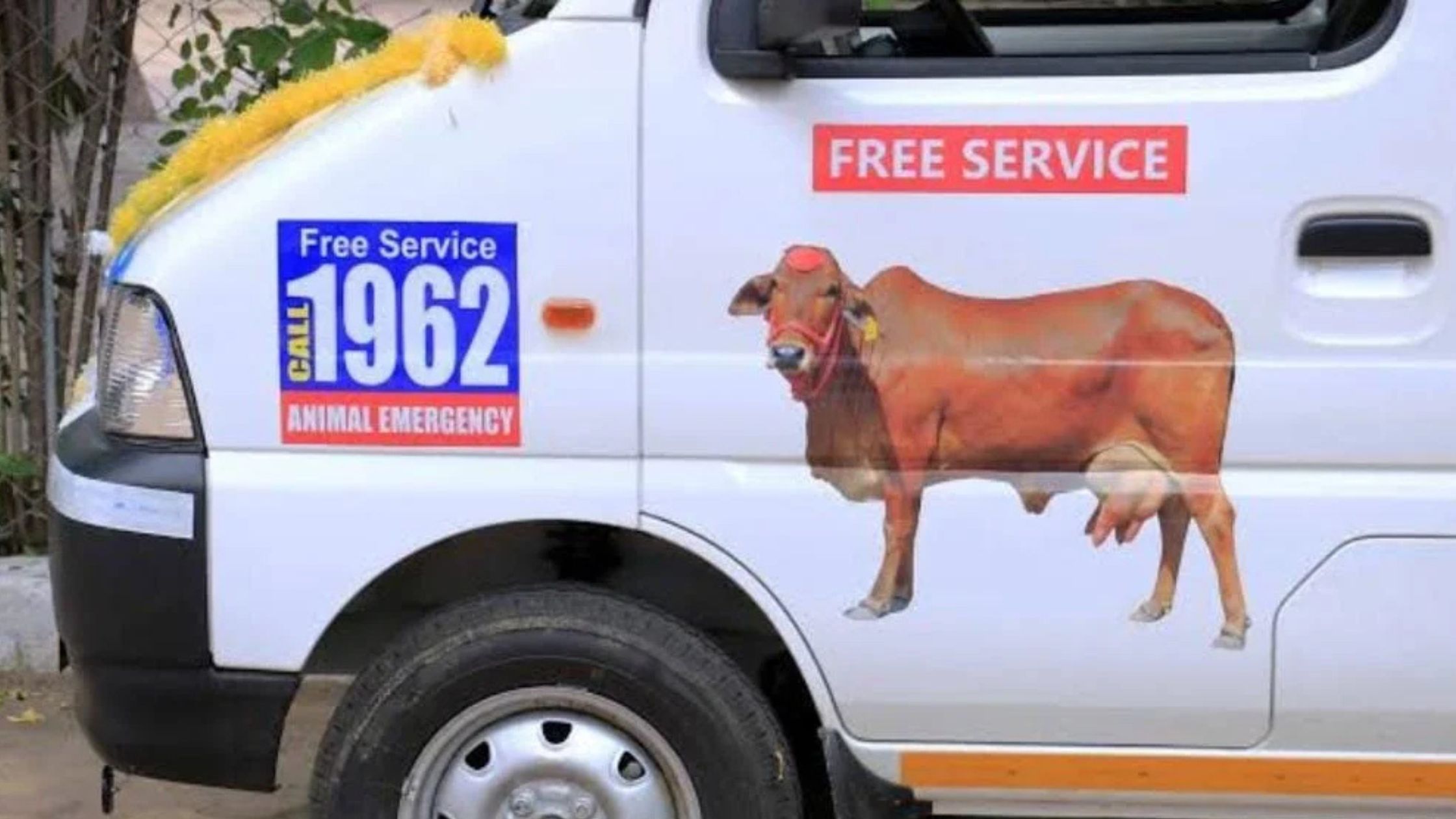 Now get doorstep treatment for sick children just call 1962