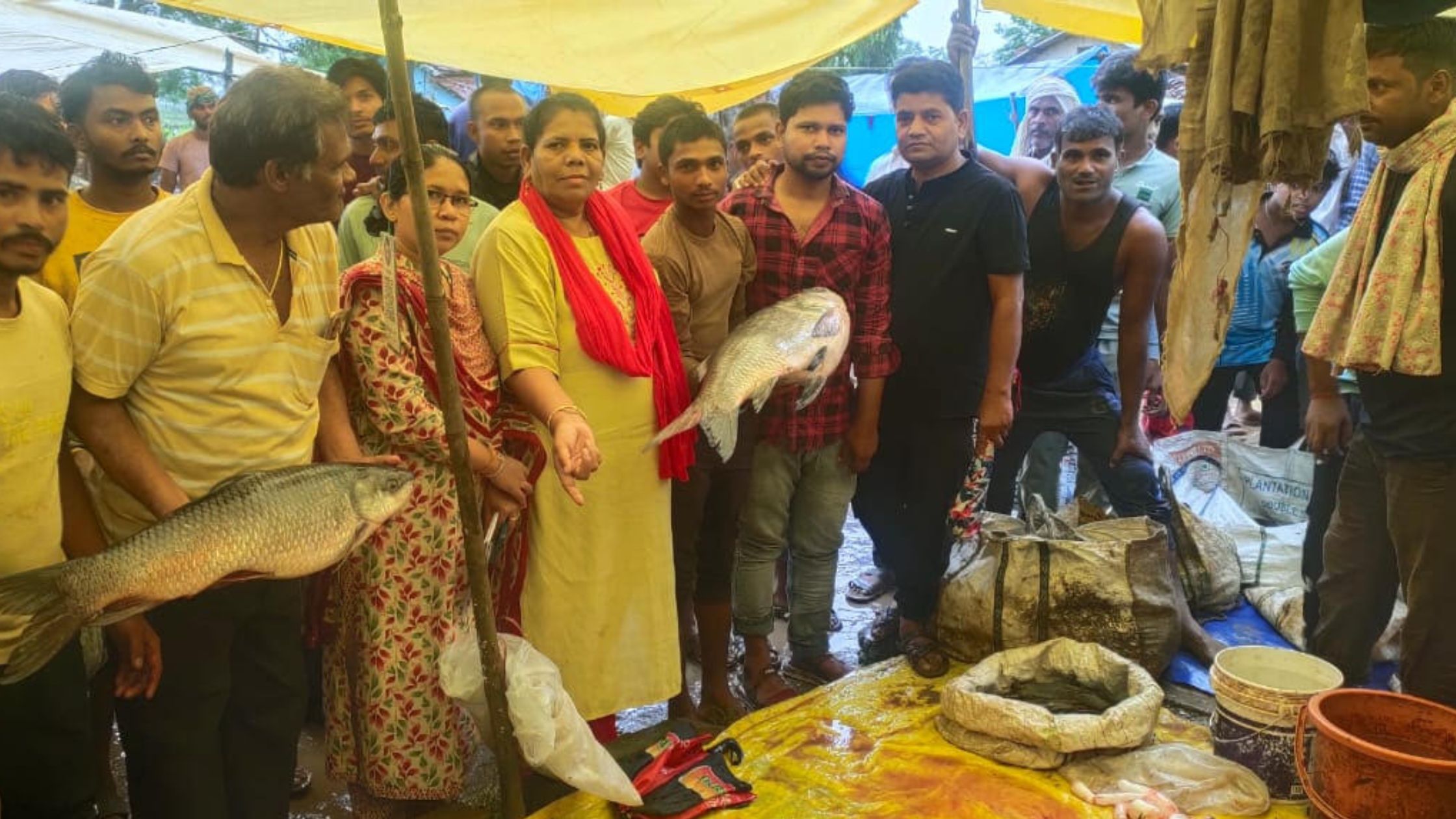 Raid on fish vendors in Lanji weekly market 1.50 quintals of fish seized auctioned for Rs 5600
