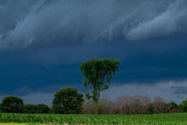 Rainy season begins in Khargone Clouds will be present for the whole week farmers advised to remain alert