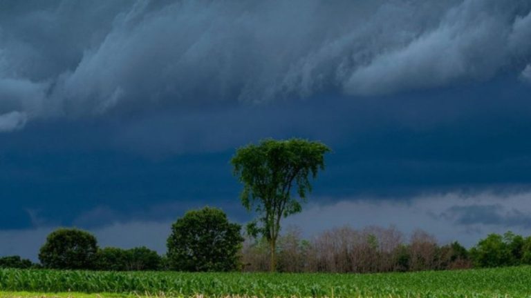Rainy season begins in Khargone Clouds will be present for the whole week farmers advised to remain alert