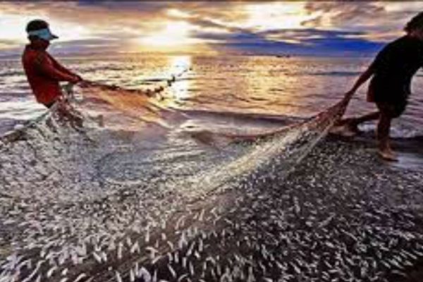 Salute to the dedication of fish farmers National Fisheries Farmers Day celebrated