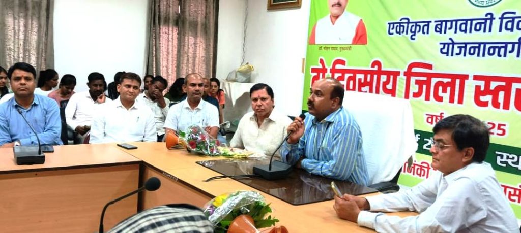 WhatsApp Image 2025 07 03 at 3.29.18 PM