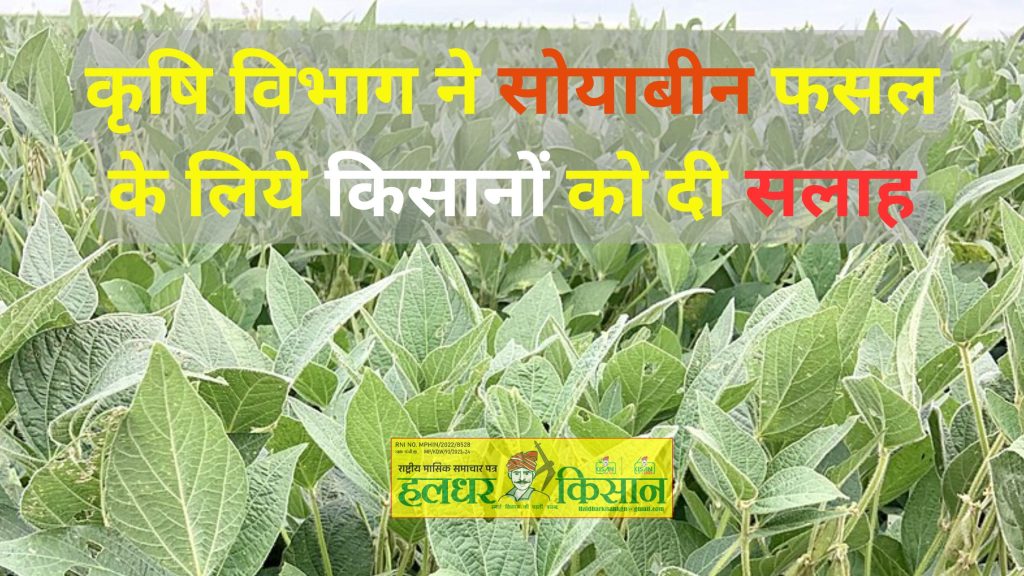 Agriculture department gave advice to farmers for soybean crop