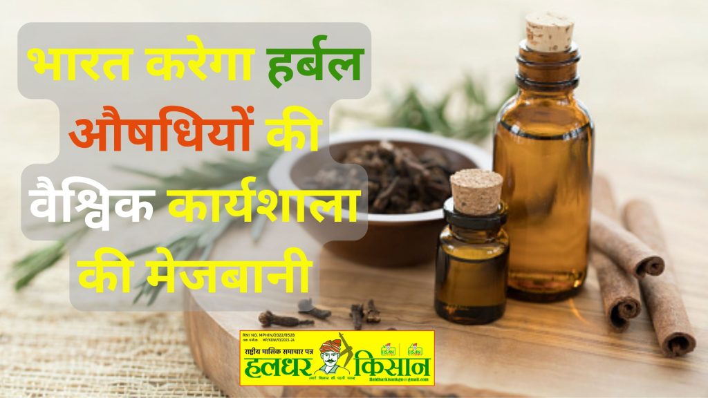 India will host global workshop on herbal medicines