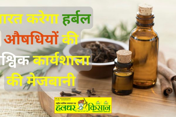 India will host global workshop on herbal medicines