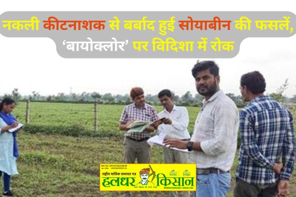 Soybean crops destroyed by fake pesticides Biochlor banned in Vidisha