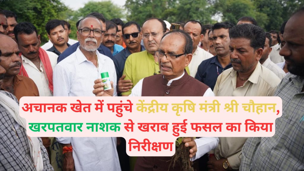 Union Agriculture Minister Shri Chauhan suddenly arrived at the farm and inspected the crop damaged by weedicide