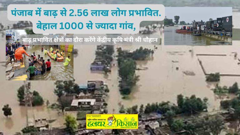 पंजाब में बाढ़ से 2.56 लाख लोग प्रभावित. बेहाल 1000 से ज्यादा गांव,
