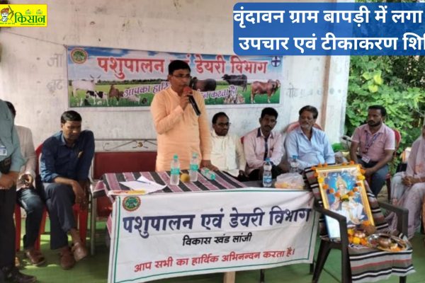 Animal treatment and vaccination camp organized in Vrindavan village Baapdi