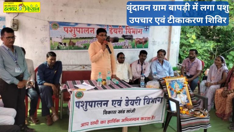 Animal treatment and vaccination camp organized in Vrindavan village Baapdi