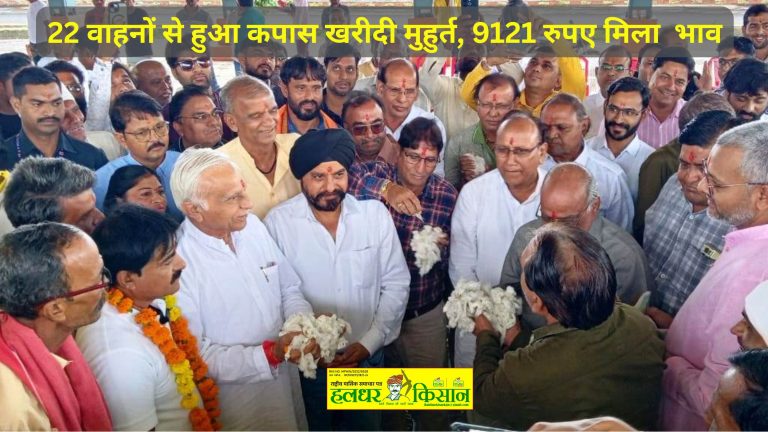 22 वाहनों से हुआ कपास खरीदी मुहुर्त, 9121 रुपए मिला  भाव