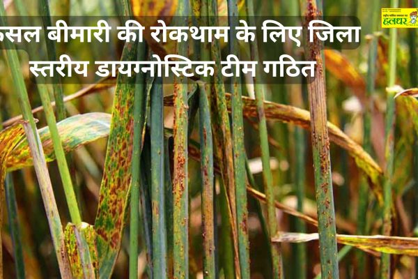 District level diagnostic team formed for prevention of crop disease 1