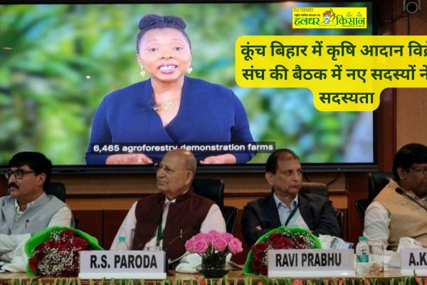 Farmers role in agroforestry crucial for climate and economy experts call for increased efforts